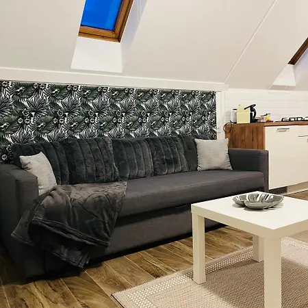 Lexi Apartman with Roof Terrace Balatonboglár