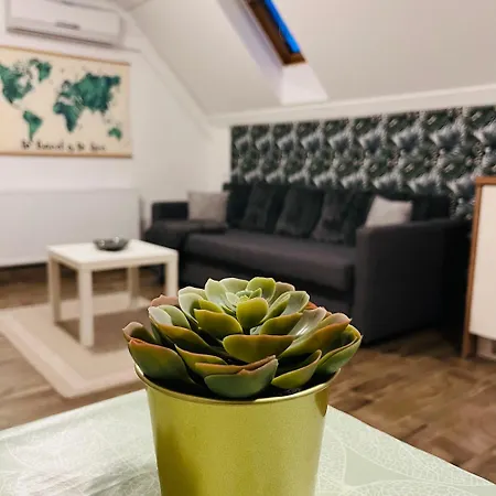 Lexi Apartman with Roof Terrace Balatonboglár *