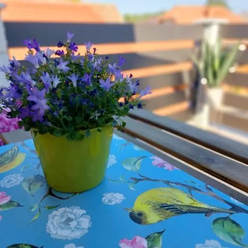 Lexi With Roof Terrace 公寓 Balatonboglár